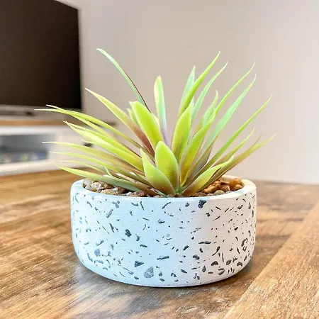 Baltischer Hof 60 Boltenhagen